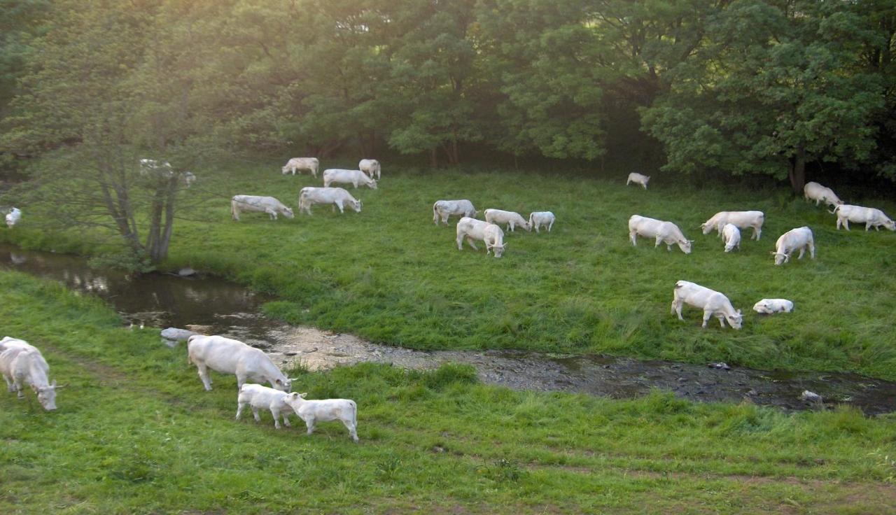 Altenschlirf Betzemuehle 1 Bauernhof 아파트 외부 사진